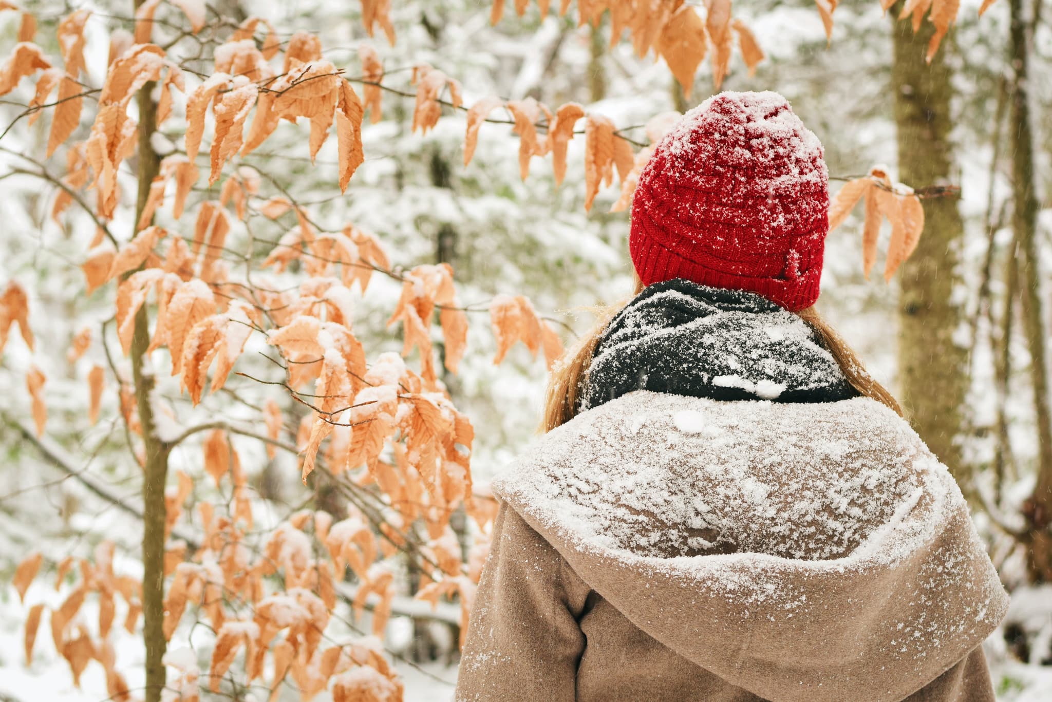 Skincare invernale: come evitare pelle secca e screpolata con la cosmesi coreana